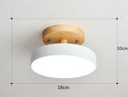 Ceiling Light Luxury Nordic Ceiling Lamp Modern Flush Mount Light Scandinavian Minimalist Ceiling Fixture Hotel Restaurant Hallway Bedroom Living Room Wooden Ceiling Light Contemporary Home Decor